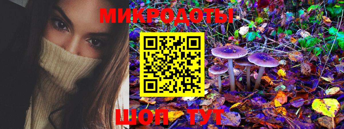 Галлюциногенные грибы прущие грибы  Псилоцибиновые грибы Psilocybine cubensis  Алейск  Вход с VPN 