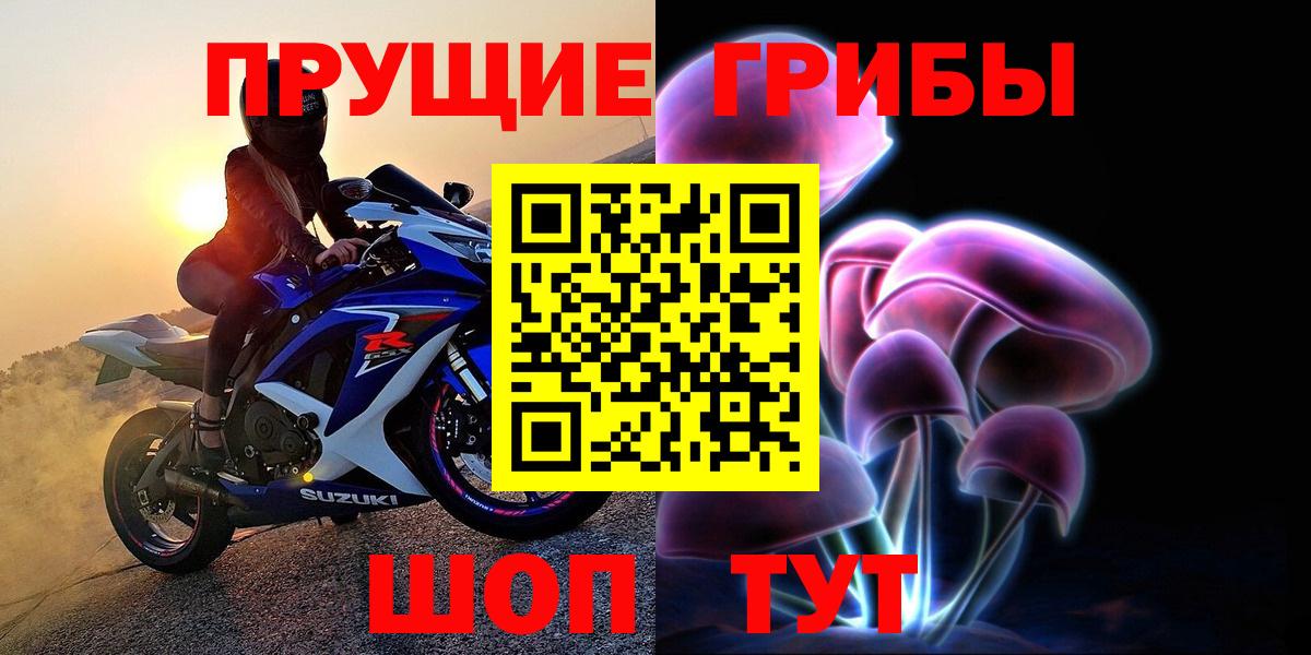 Псилоцибиновые грибы Cubensis Алейск